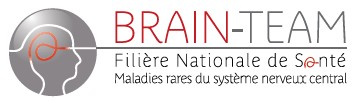 Brain-Team